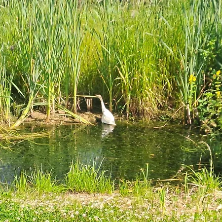 Mobile Residentiel 6 Personnes Comminges Pyrenees Camping