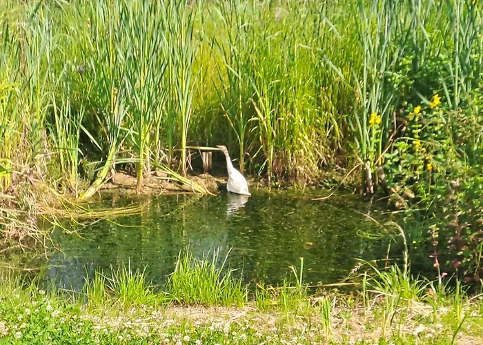 Mobile Residentiel 6 Personnes Comminges Pyrenees Camping